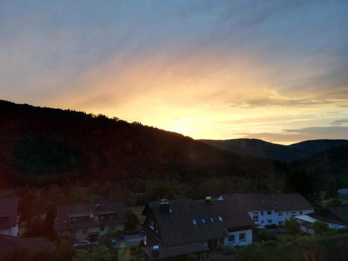 Hills Hut Villa Langelsheim Kültér fotó