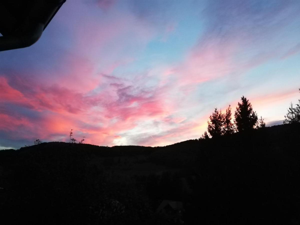 Hills Hut Villa Langelsheim Kültér fotó
