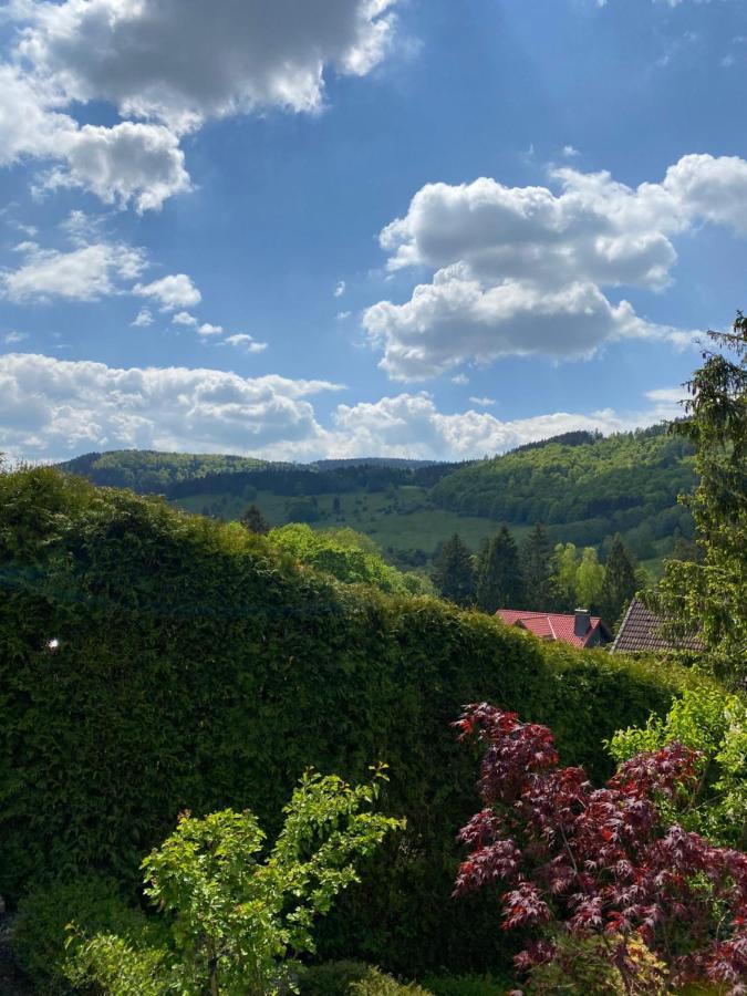 Hills Hut Villa Langelsheim Kültér fotó