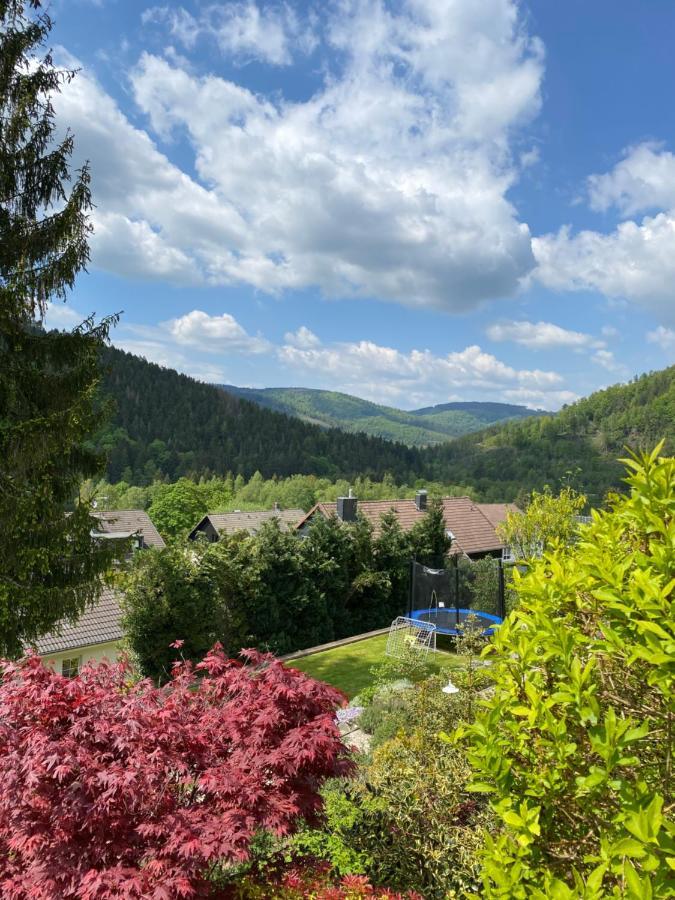 Hills Hut Villa Langelsheim Kültér fotó